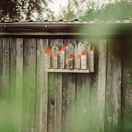 Apartment Ausblick *