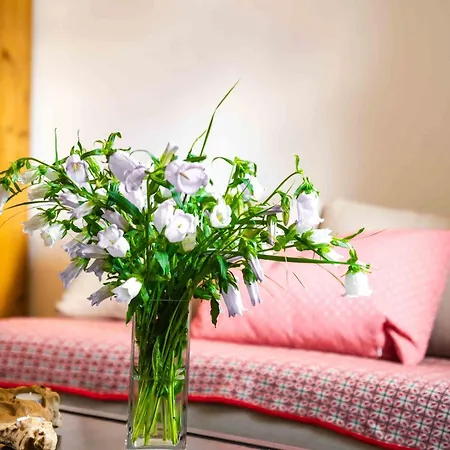 Apartment Ausblick *