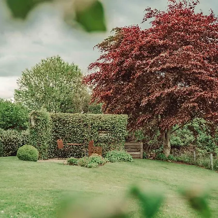 Ausblick * Süderbrarup